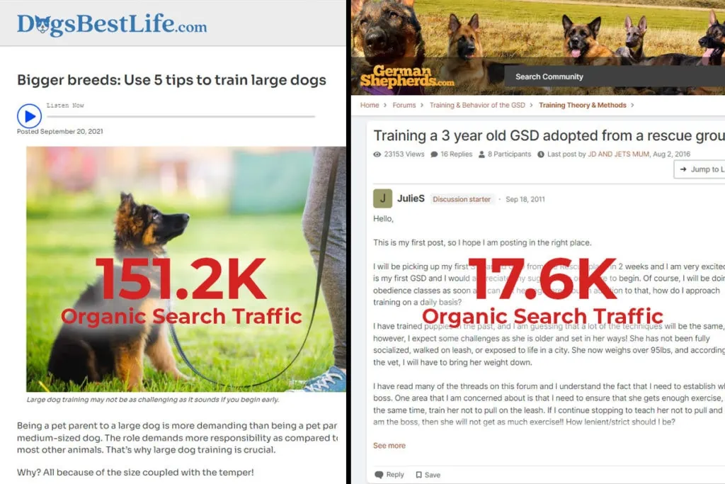 training big dogs vs small dogs