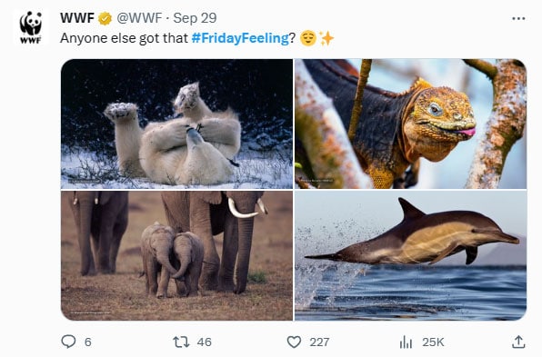 WWF hashtags